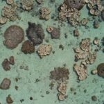 Kratery uderzeniowe – gdzie je znaleźć na Ziemi i innych planetach?